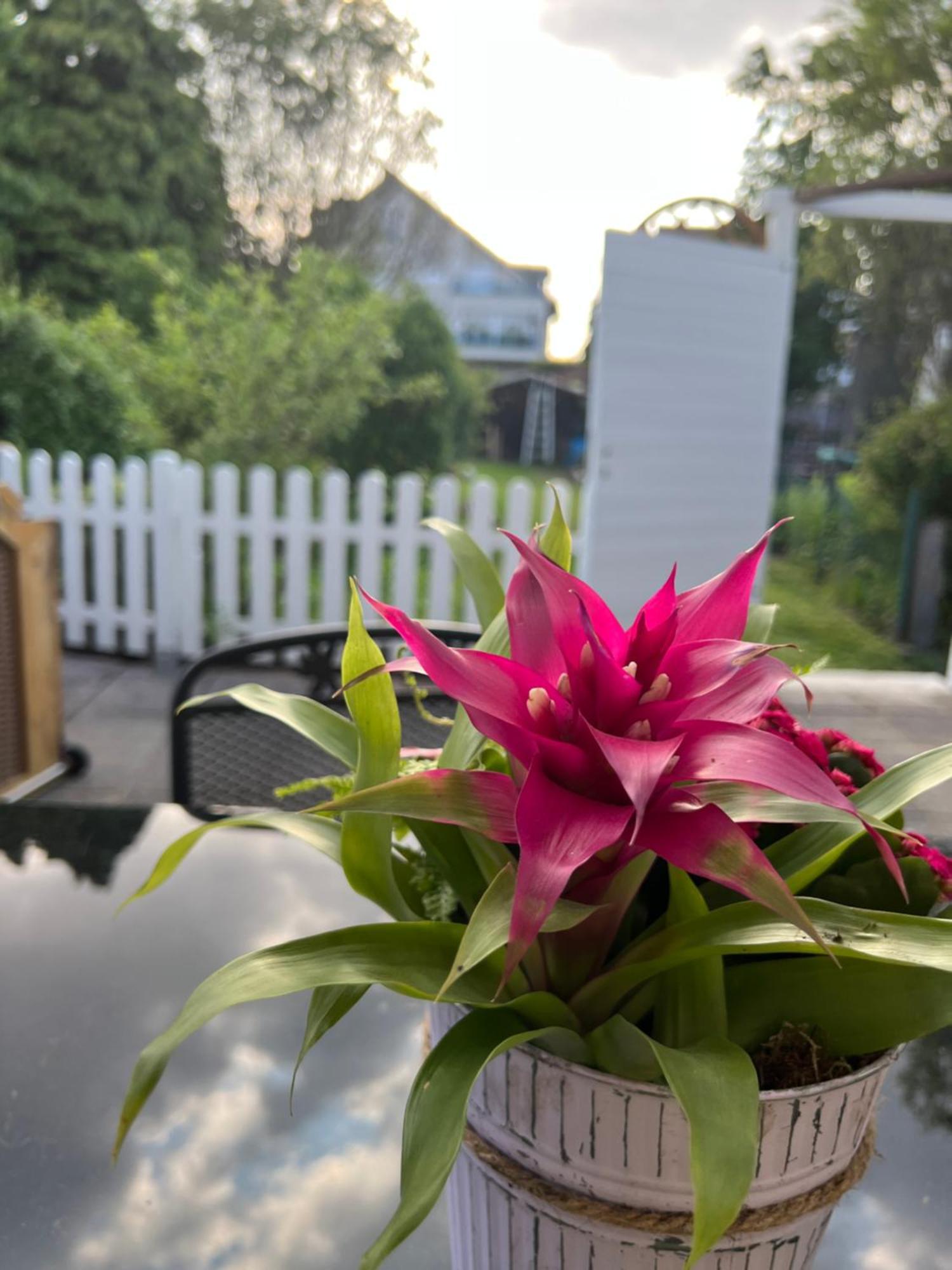 Auszeit Im Pott - Ferienwohnung Lavendel Herten  Exterior photo
